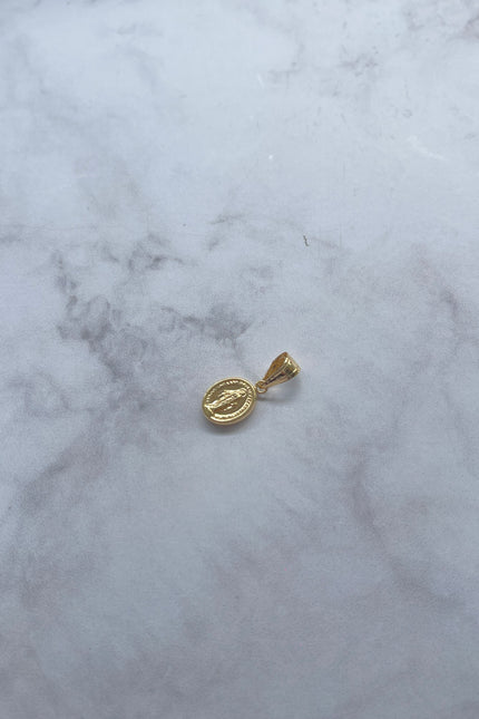 Dije Virgen Milagrosa Pequeño / 1.3Cm / 0.5Gr /