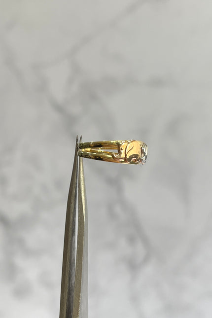 Anillo Elefante / Talla 4 / 1.04Gr /