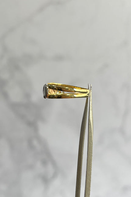 Anillo Elefante / Talla 4 / 1.04Gr /